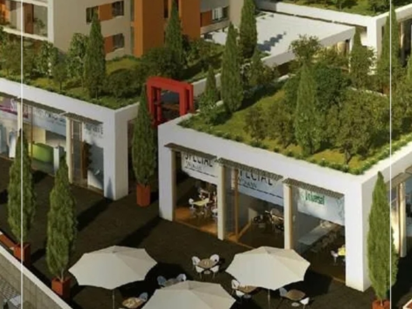 Newista Life Başakşehir نيوأيستا