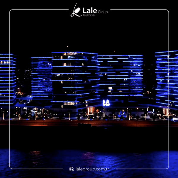 مشروع Yedi Mavi