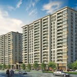 مشروع لوجا محل LOCAMAHAL