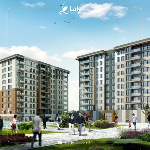 مافيرا كومفورت