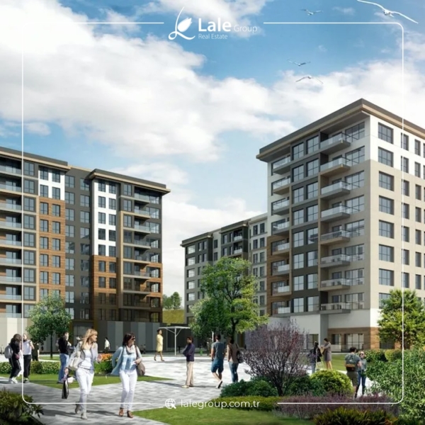 1مشروع مافيرا كومفورت المميز