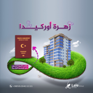 زهرة اوركيدا مشاريع مناسبة للحصول على الجنسية التركية