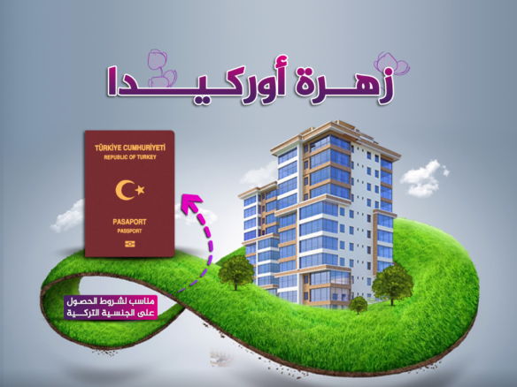 زهرة اوركيدا مشاريع مناسبة للحصول على الجنسية التركية