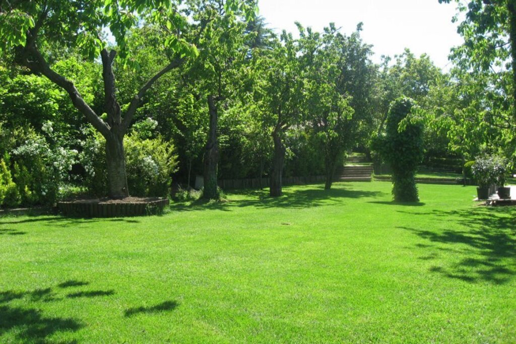 الأشجار في حديقة اميرجان في اسطنبول