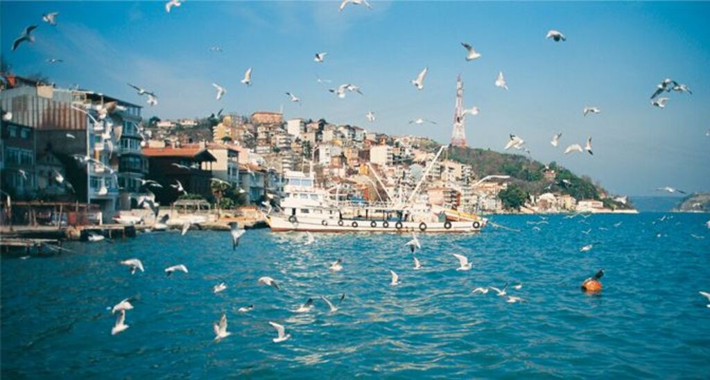 ساحل اميرجان اسطنبول