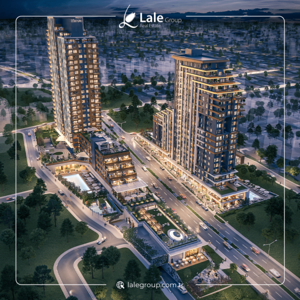 مشروع اللؤلؤة 2024