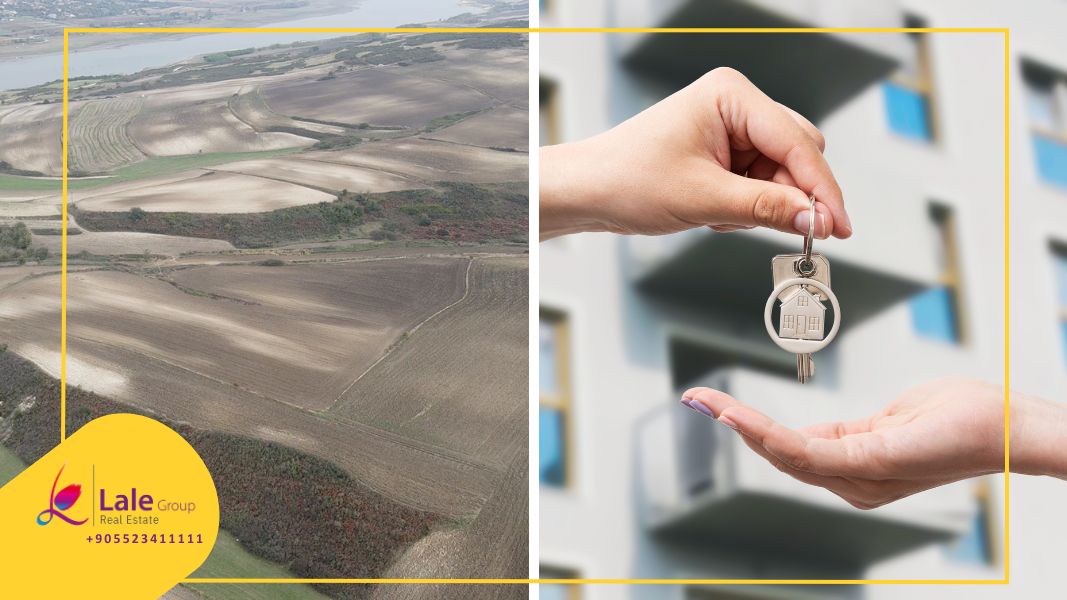 أيهما أفضل: شراء أرض أم شقة