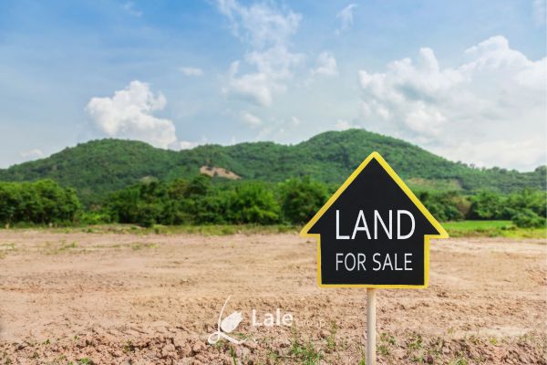 الاستثمار في مجال الأراضي 