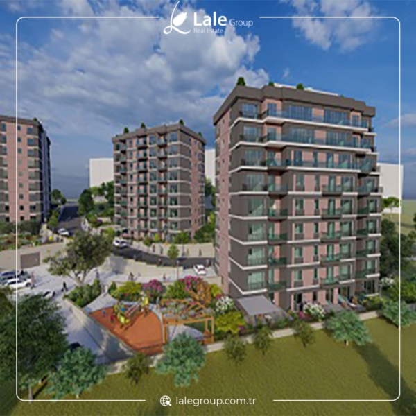 أفضل مشروع وادي بانوراما ايفليري