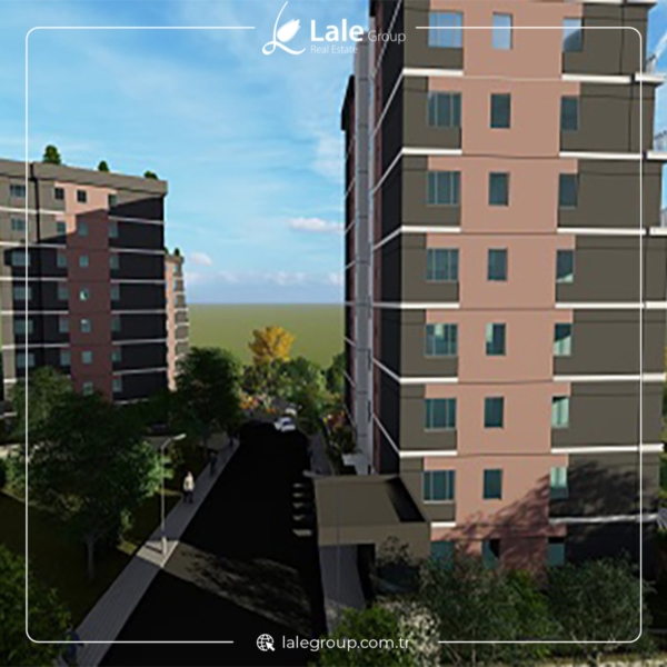 وادي بانوراما ايفليري