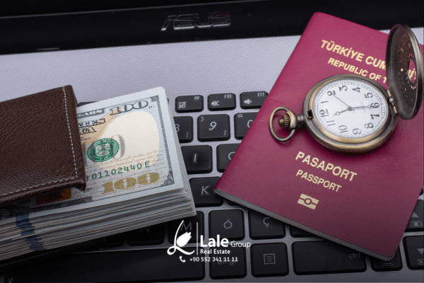 أفضل الطرق في إكتساب الجنسية التركية