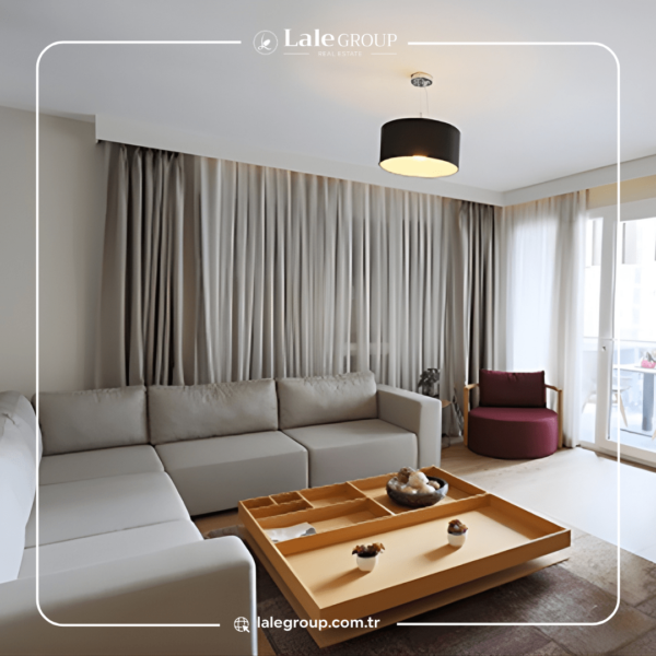 باباجان بريميوم