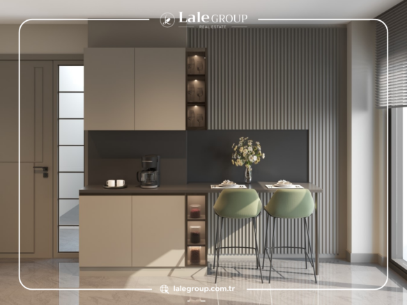 ايبرولي باشاك شهير